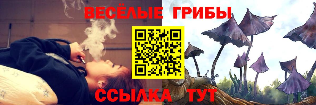Псилоцибиновые грибы Psilocybine cubensis  Вход с VPN  Псилоцибиновые грибы Psilocybine cubensis  Подольск 